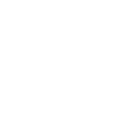 Patagonia logo