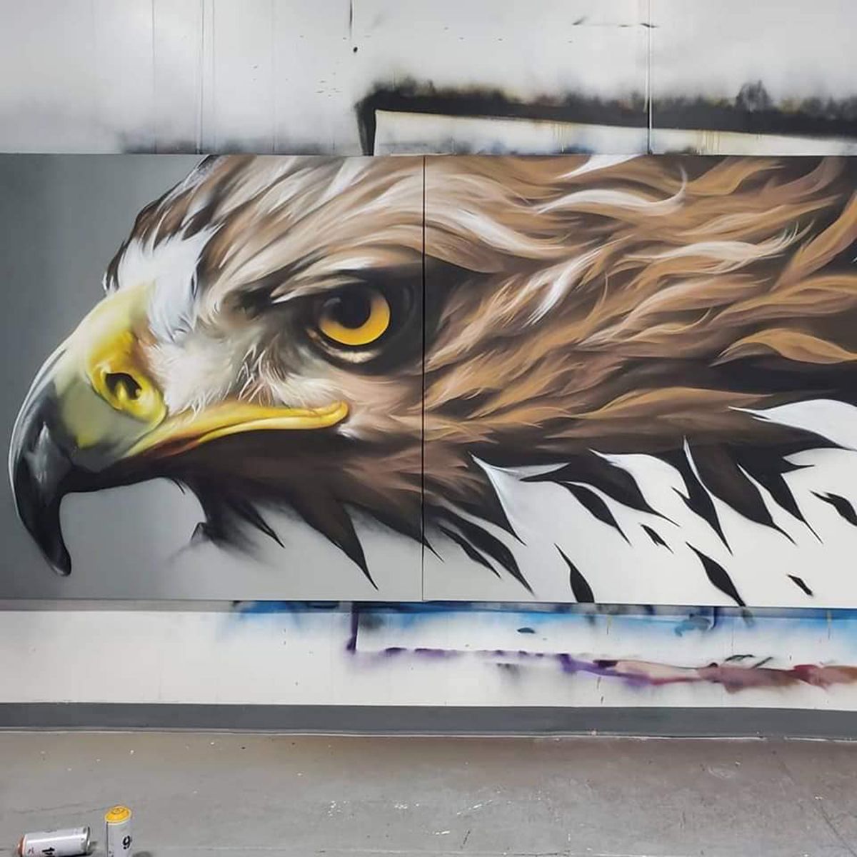 Hyper-realistic hawk portrait mural, close-up on the eye and beak