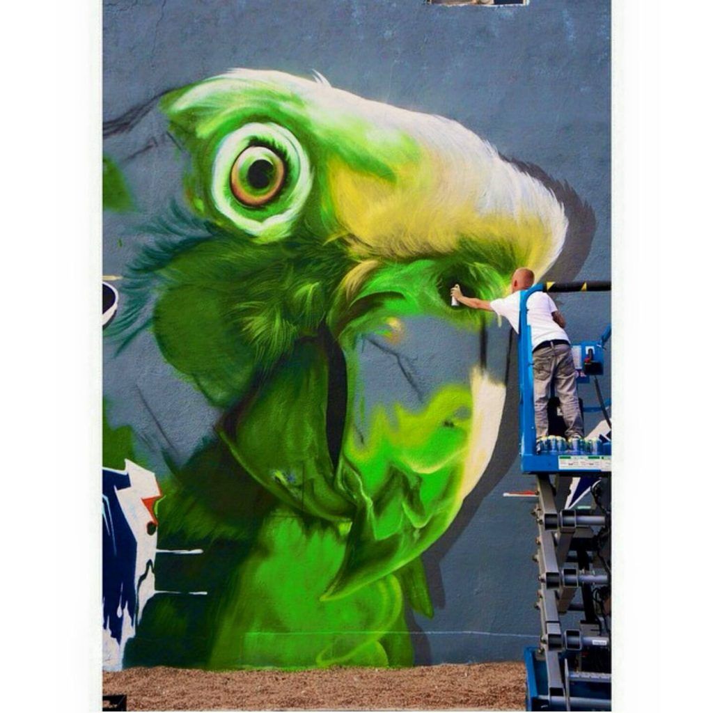 SRIL ART painting the macaw mural freehand from a scissor lift against the exterior wall