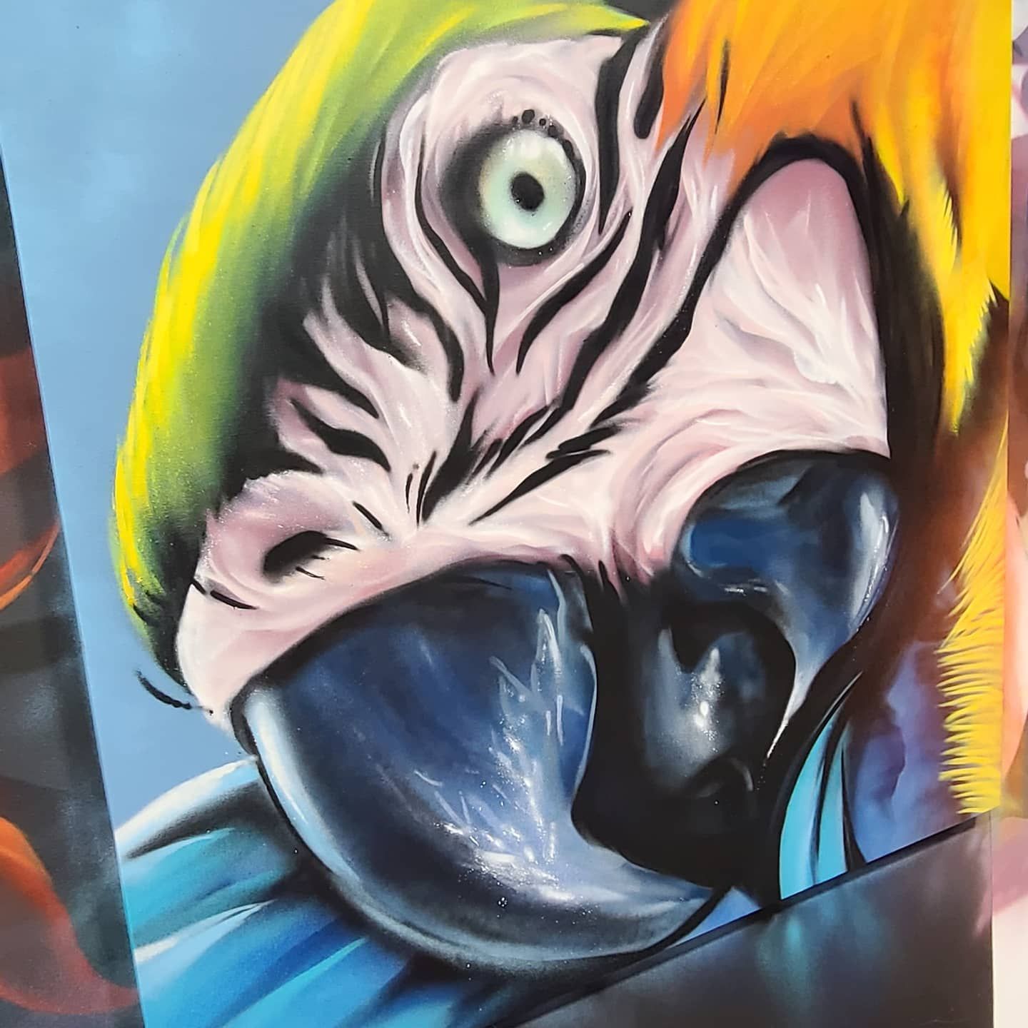 Close-up of the macaw mural's eye and beak showing the full green, yellow and blue plumage