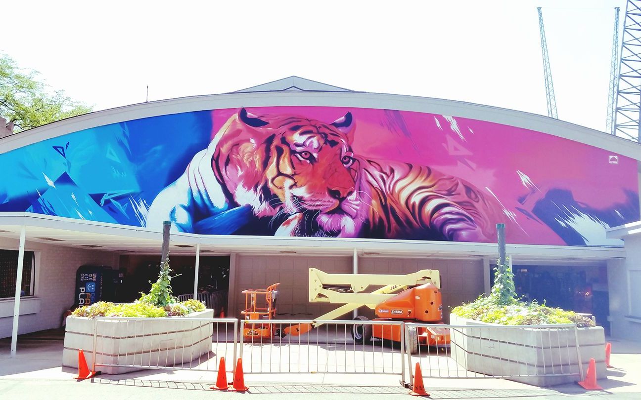 Large-scale tiger mural painted across the curved exterior facade of a ride building at Lagoon
