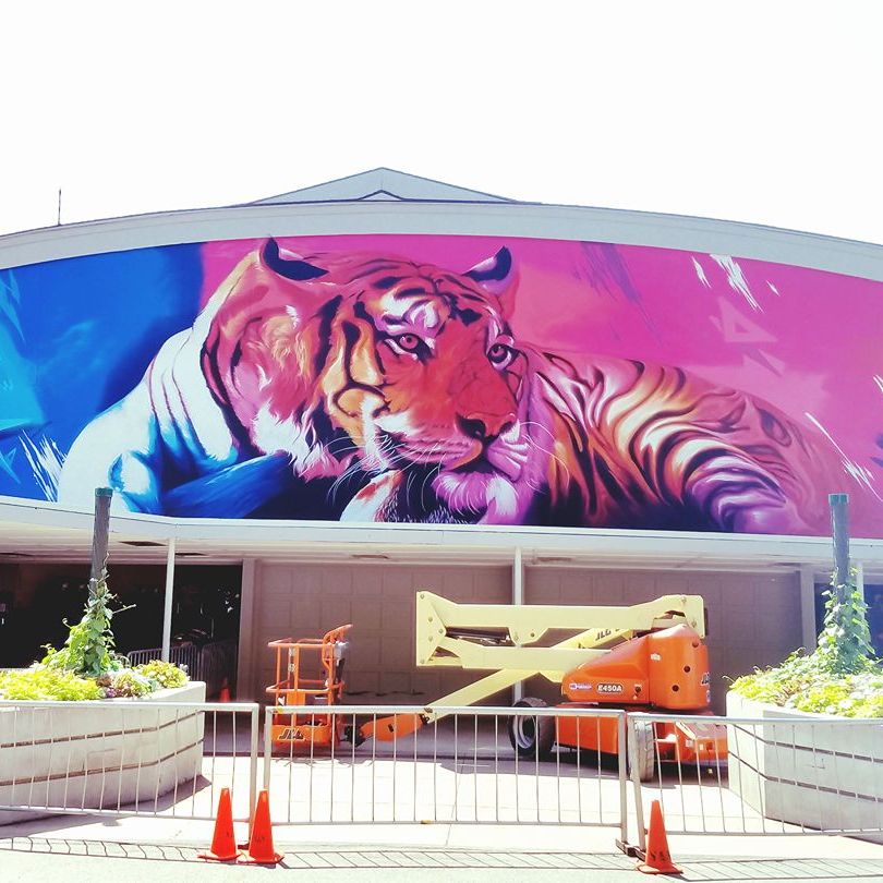 Large-scale tiger mural painted across the curved exterior facade of a ride building at Lagoon