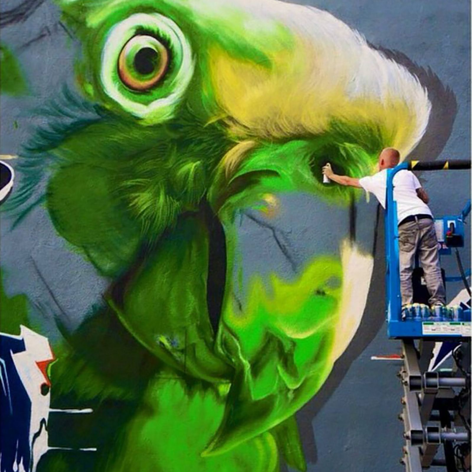 Green macaw portrait mural painted freehand on an exterior concrete block wall