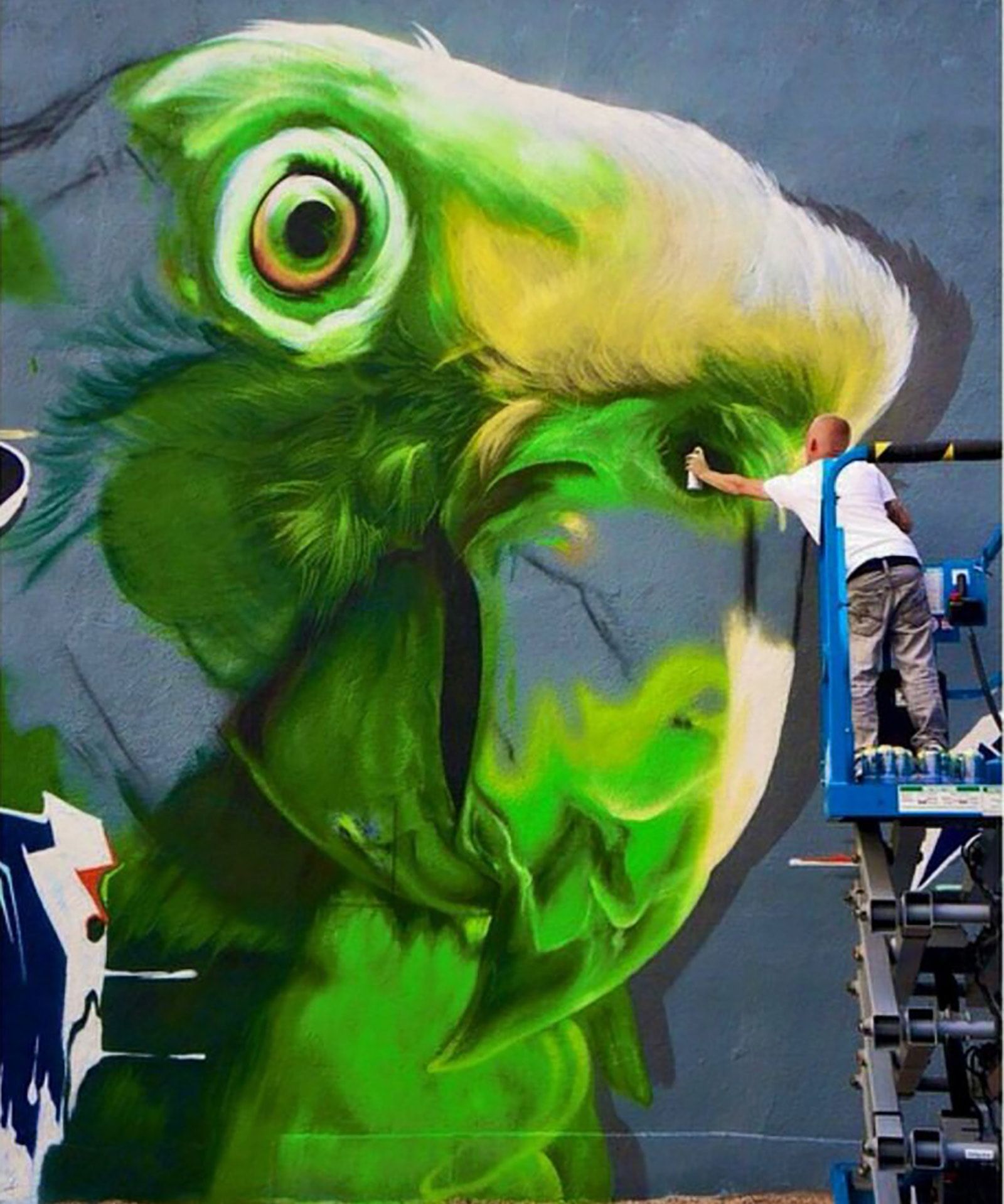 Green macaw portrait mural painted freehand on an exterior concrete block wall