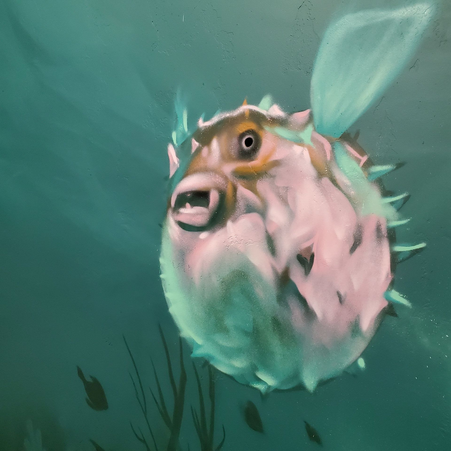 Pufferfish rendered in pink and white against deep teal water, spines and fins picked out in fine detail