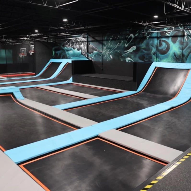 Great white shark painted in teal and gray along the wall above a trampoline court