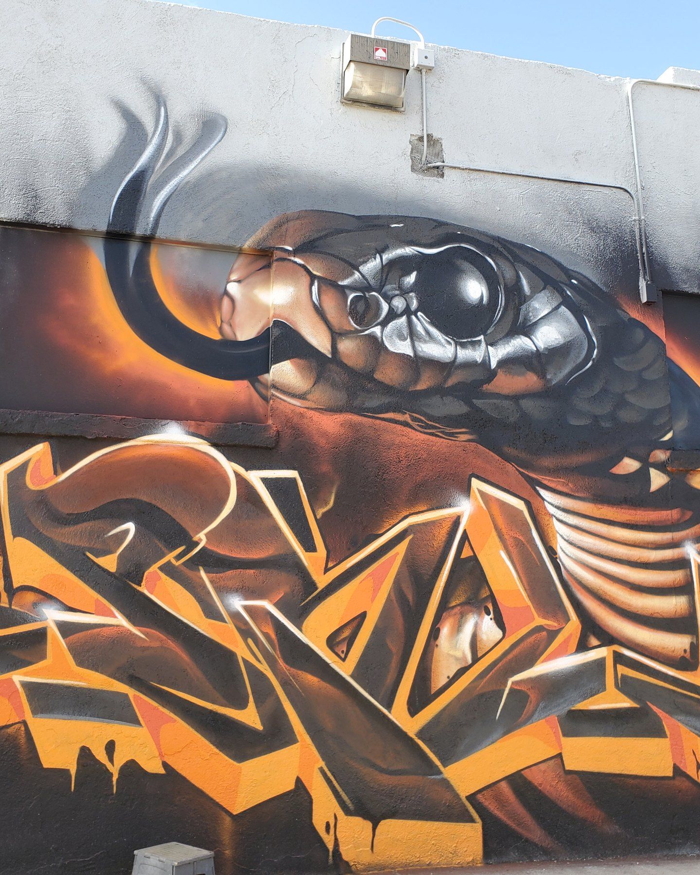 Orange and gold wildstyle graffiti lettering below a photorealistic snake, painted across an exterior wall