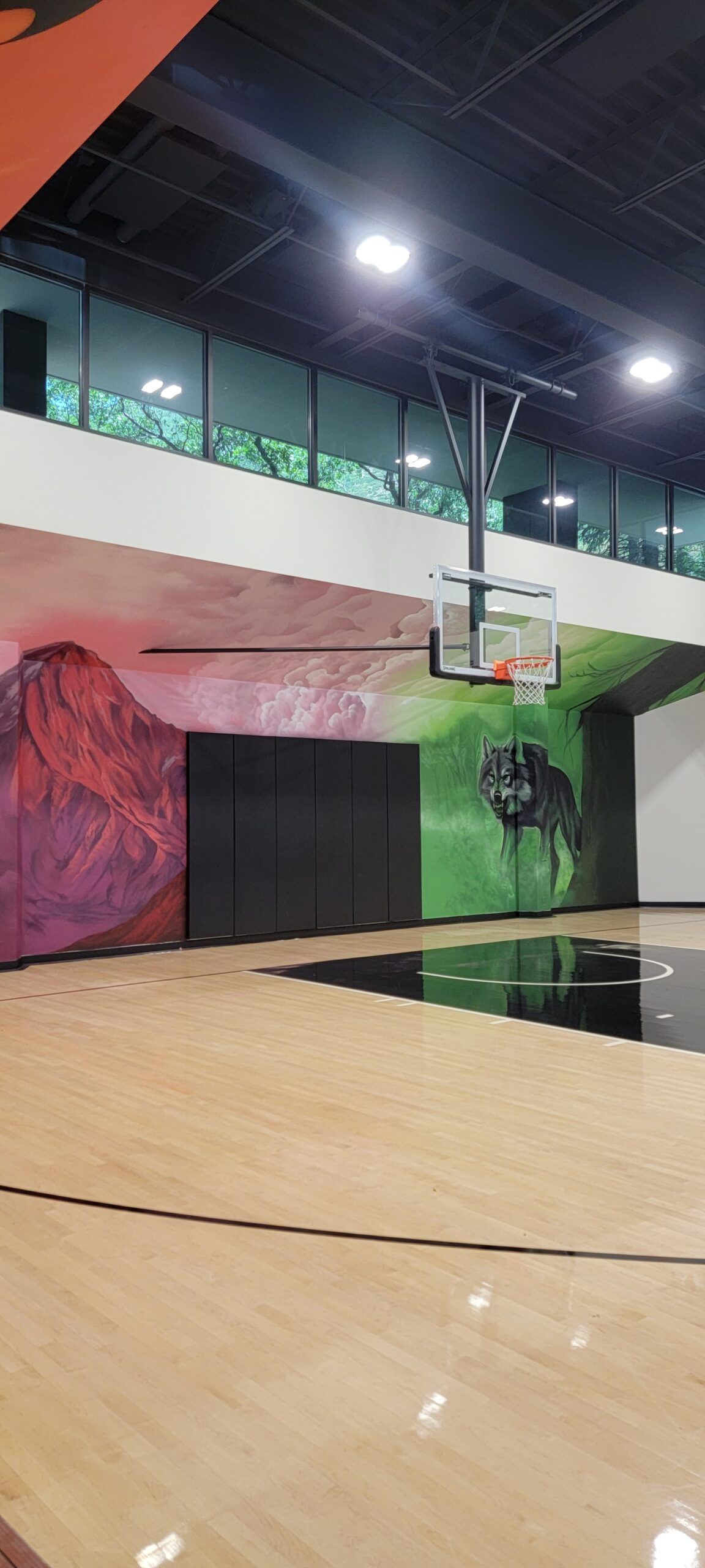 Hyper-realistic aerosol wolf detail on Rudy Gobert's luxury basketball court mural