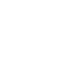 Client Logo - Client Lagoonlogo - Mural Brand Client of SRIL ART